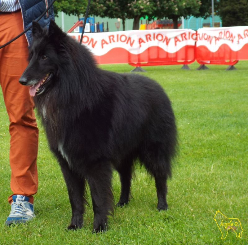 Pistacho De Lobos Do Eume Exc 4 abierta machos